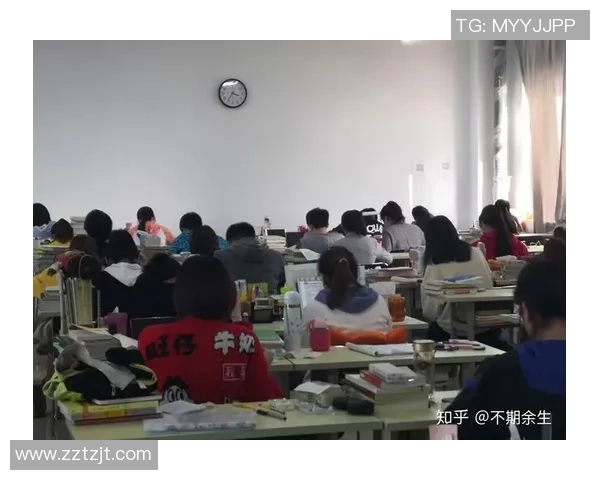 上海排球队的拼搏历程与荣耀时刻全景纪实